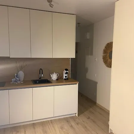 E&k Apartamentai Su Sildomu Baseinu Kieme דירה *