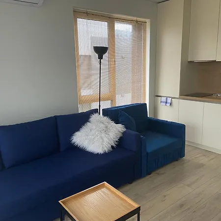 E&k Apartamentai Su Sildomu Baseinu Kieme Apartment *