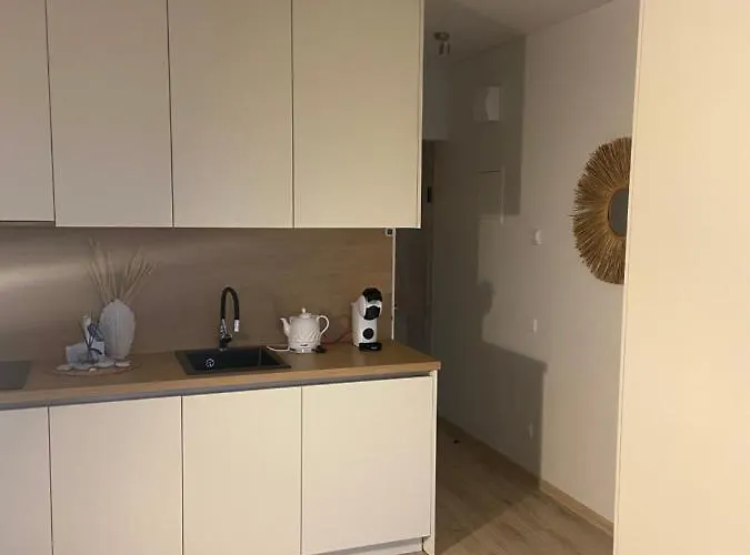 E&k Apartamentai Su Sildomu Baseinu Kieme Apartment *