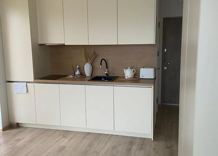 Apartment E&k Apartamentai Su Sildomu Baseinu Kieme Palanga