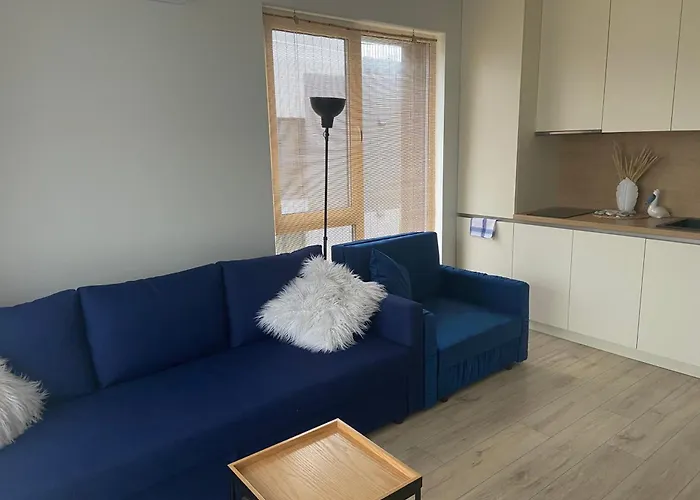 E&k Apartamentai Su Sildomu Baseinu Kieme Apartment *